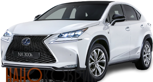 Автомобильные коврики ЭВА (EVA) для Lexus NX300h I правый (AYZ10) 2014- 