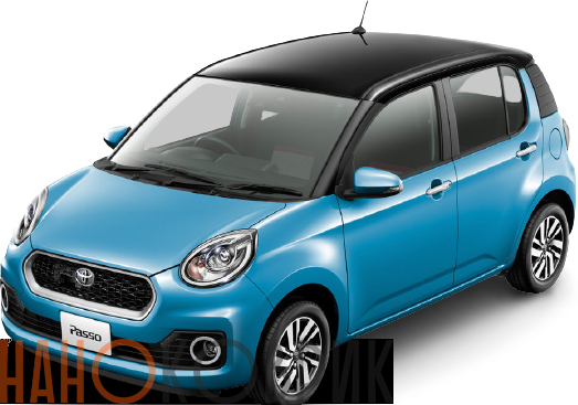 Автомобильные коврики ЭВА (EVA) для Toyota Passo III правый руль (M700A 2WD) 2016-2018 