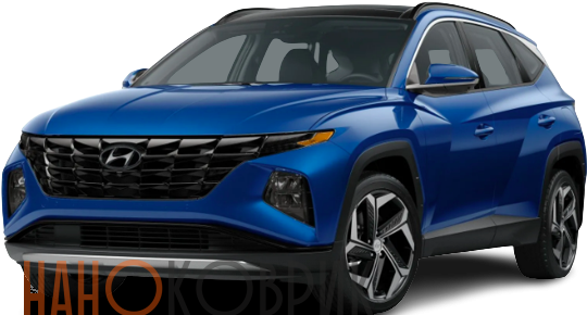Автомобильные коврики ЭВА (EVA) для Hyundai Tucson IV (NX4) 2020- 